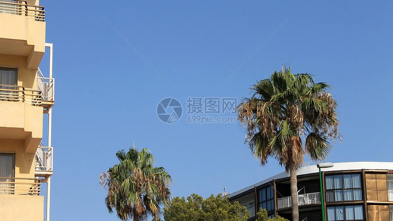 企业会议旅游定制服务哪家好